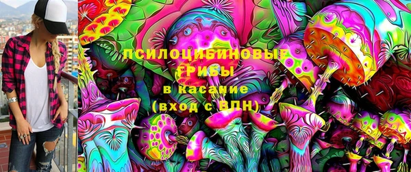 jwh Гусь-Хрустальный