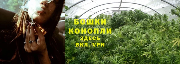 каннабис Дмитриев